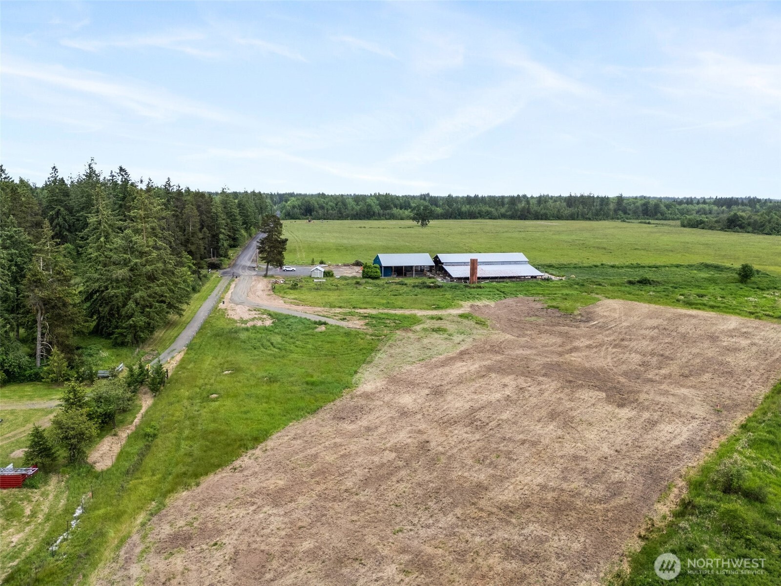 233 Allison Road Ethel, WA 98542 - Photo 10 of 20 a view of a park with large trees