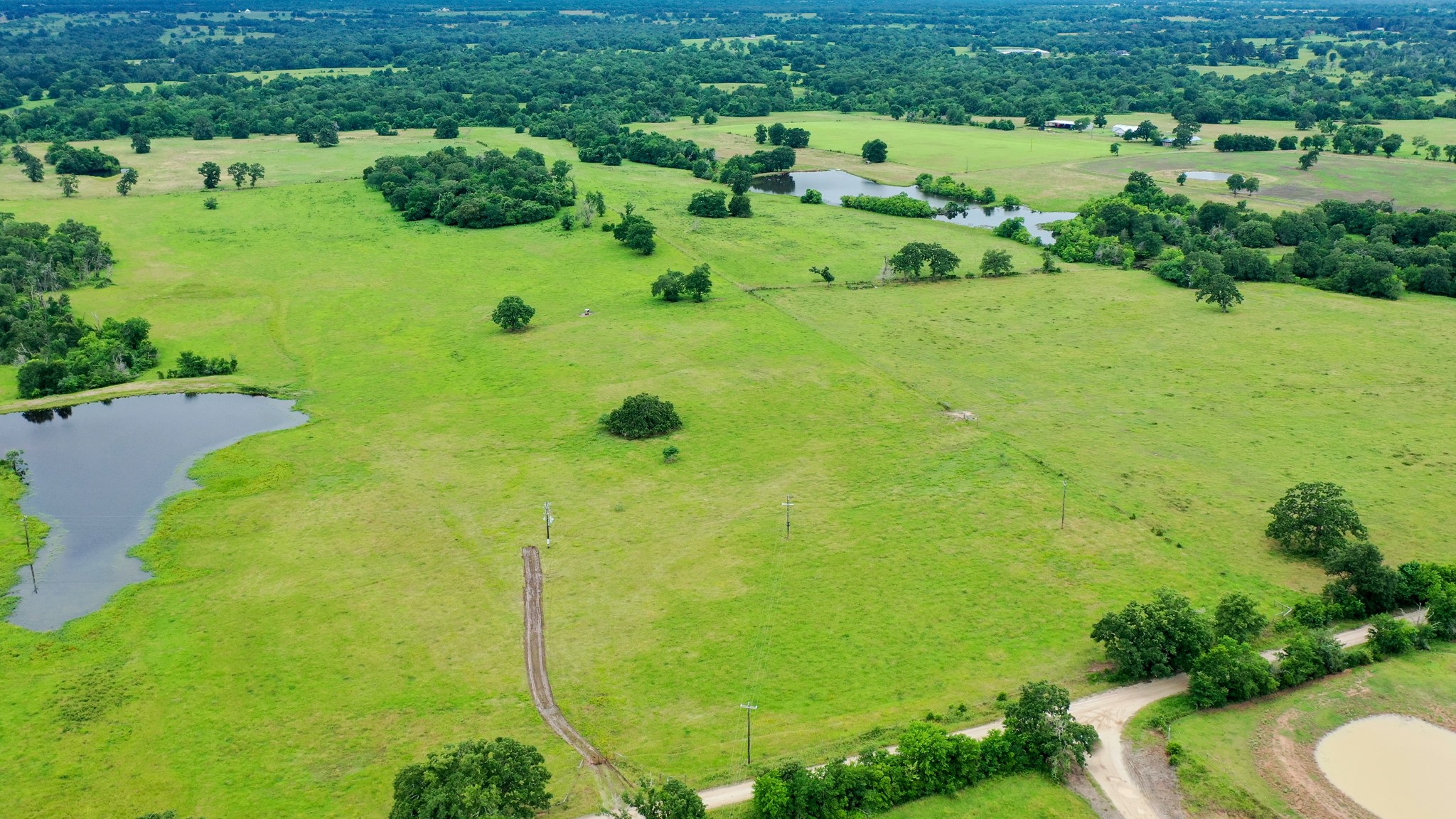 0 Pleasant Grove Road Iola, TX 77861 - Photo 3 of 18 a view of a garden with a lake