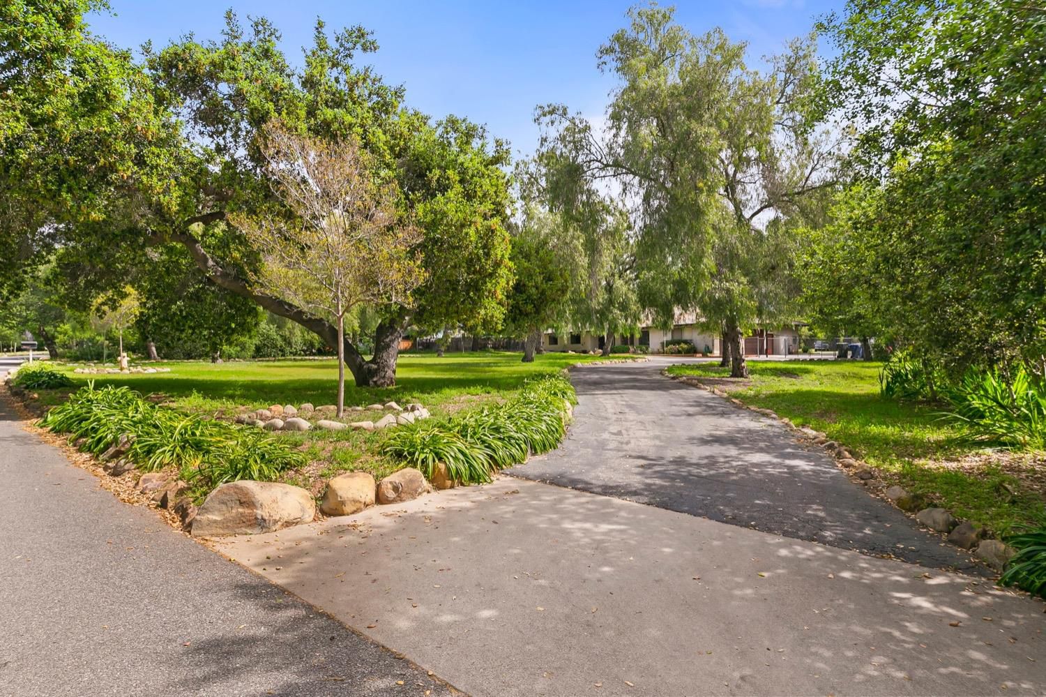218 Sierra Road Ojai, CA 93023 - Photo 5 of 50 a view of a park with large trees
