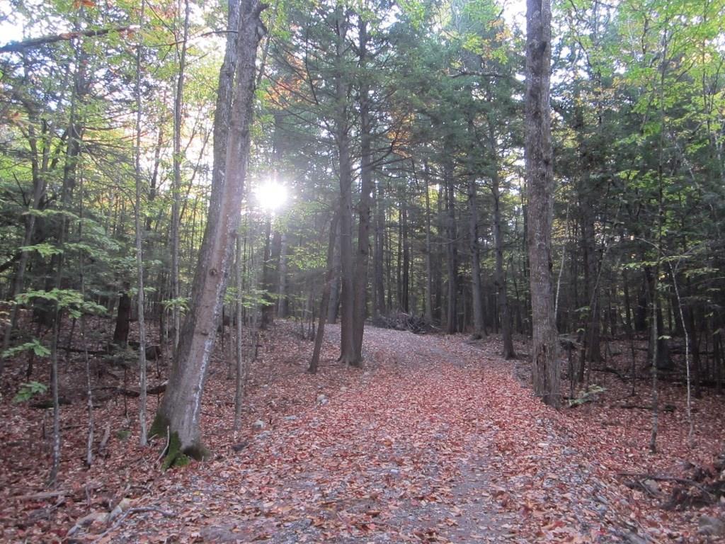 24 Pine Tree Road Litchfield, ME 04350 - Photo 4 of 35 Photo