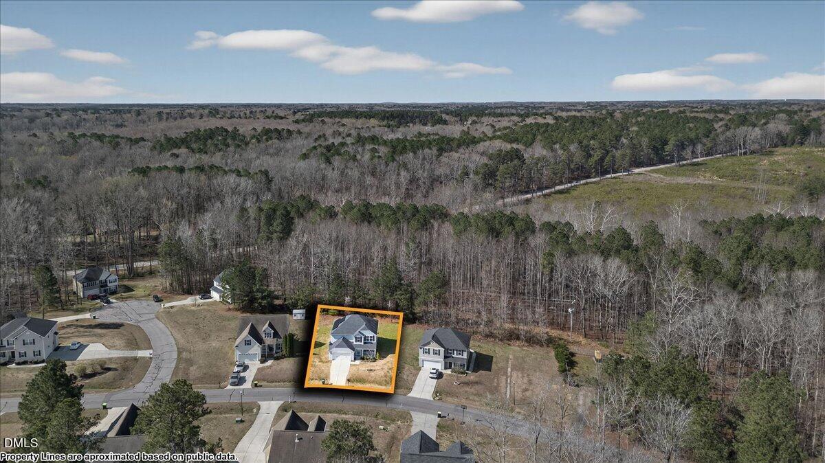 399 West Waycliff Road Henderson, NC 27537 - Photo 63 of 69 a view of a lake with a mountain in the background