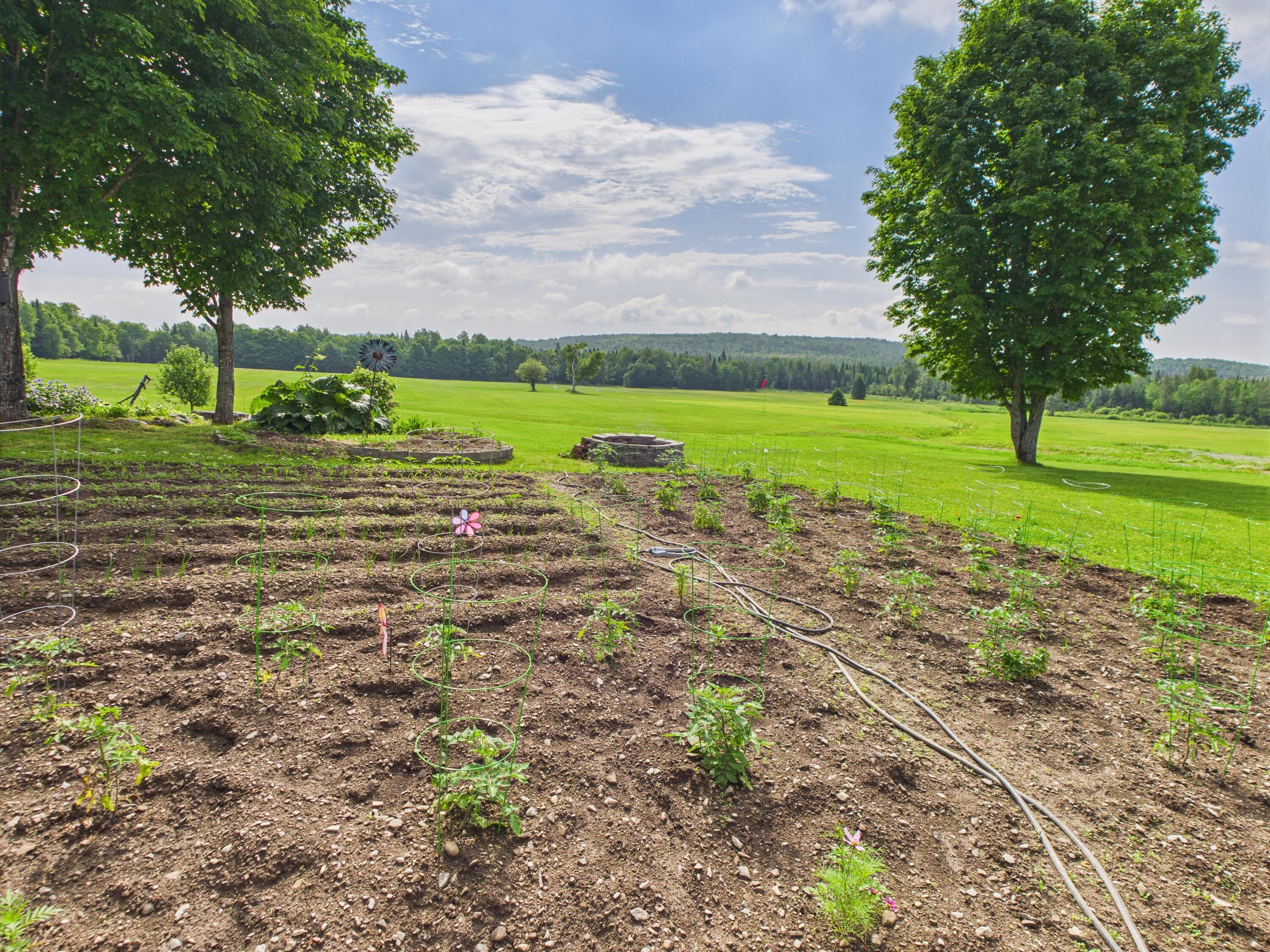 325 W Road New Sweden, ME 04762 - Photo 49 of 77 CAM05120G0-PR0032-STILL003