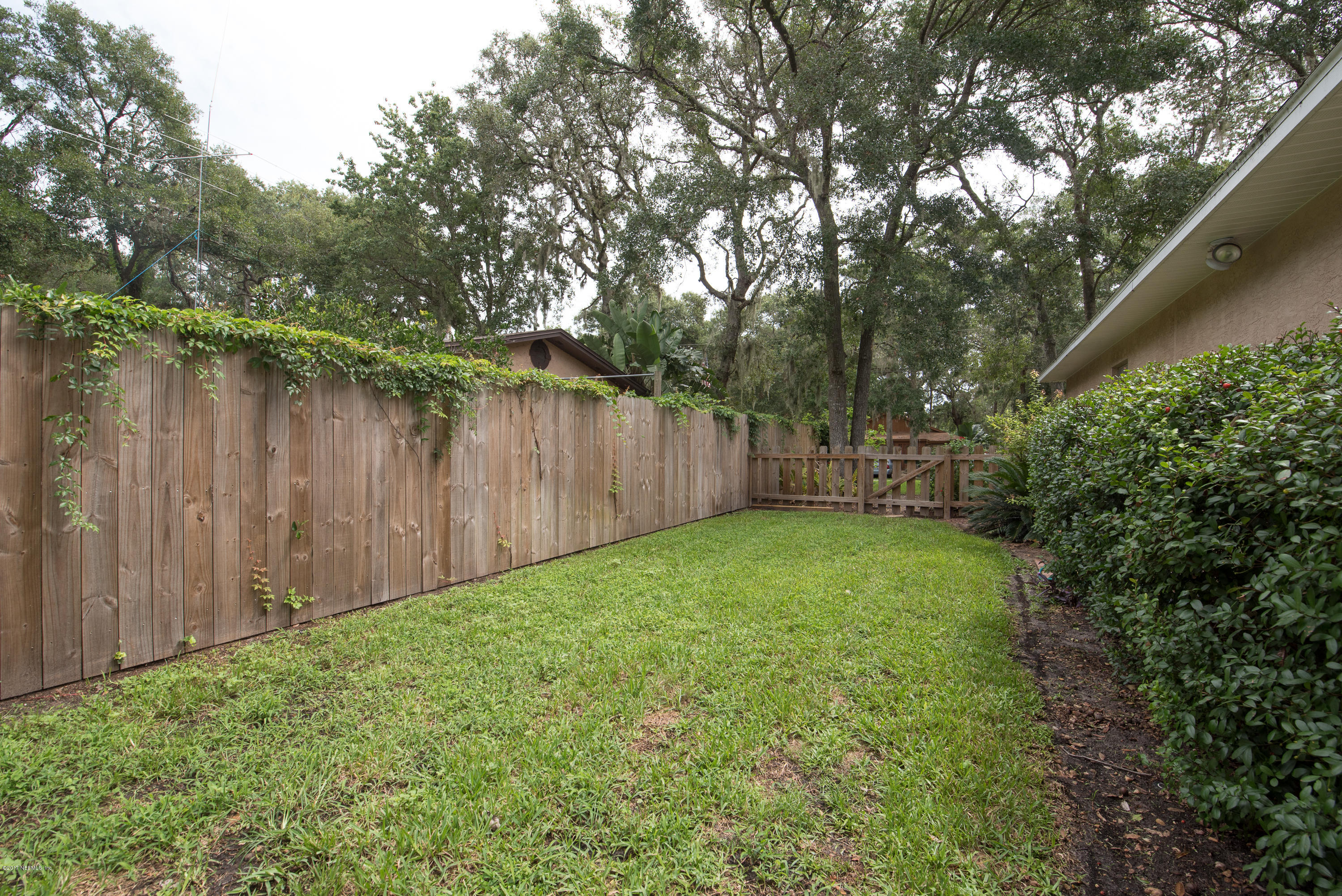 444 Orchis Road St. Augustine, FL 32086 - Photo 33 of 56 a view of backyard with tree