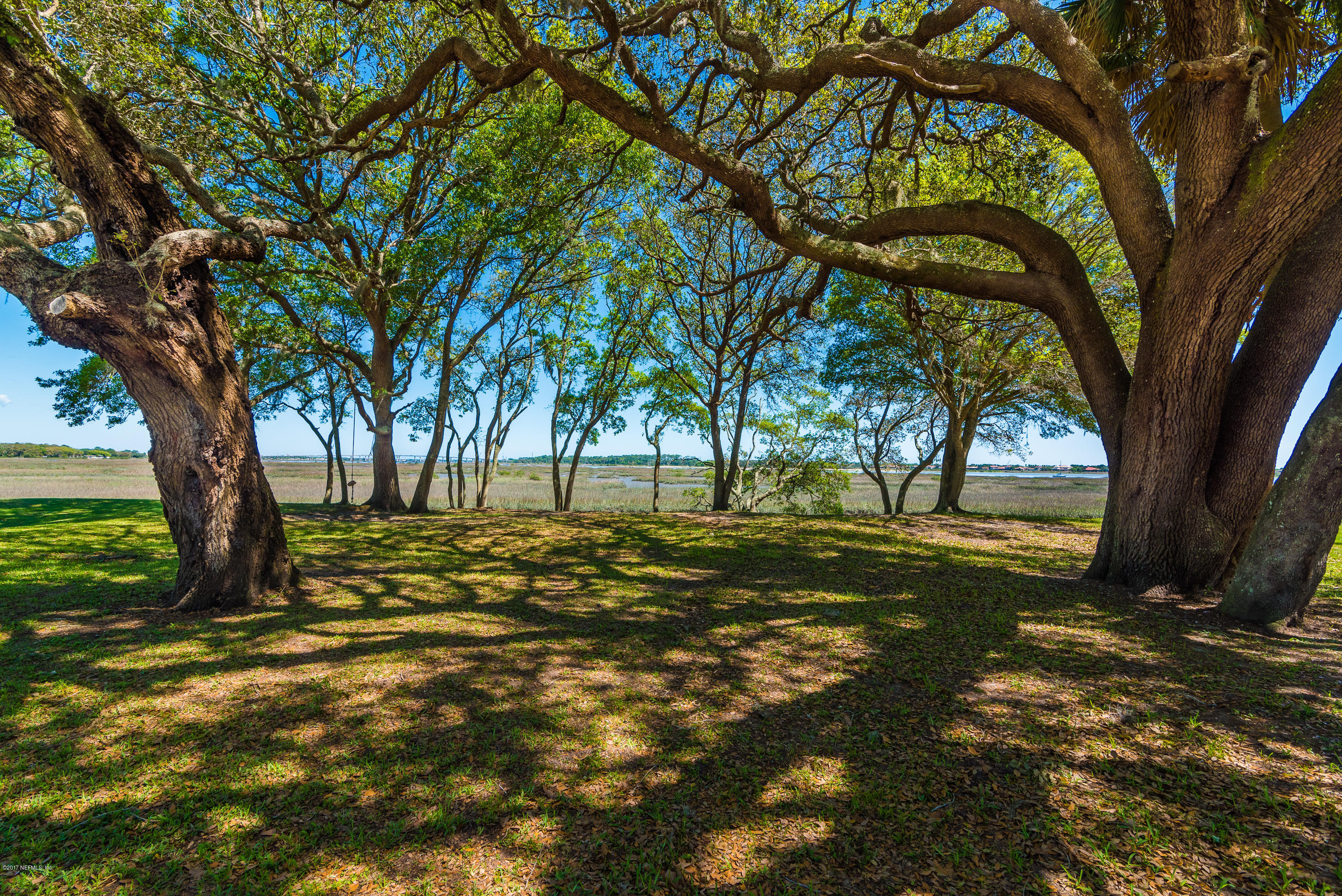 444 Orchis Road St. Augustine, FL 32086 - Photo 49 of 56 a view of a trees with a yard
