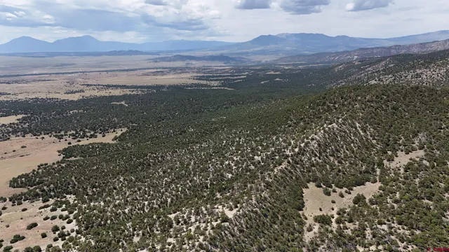 a view of city and mountain