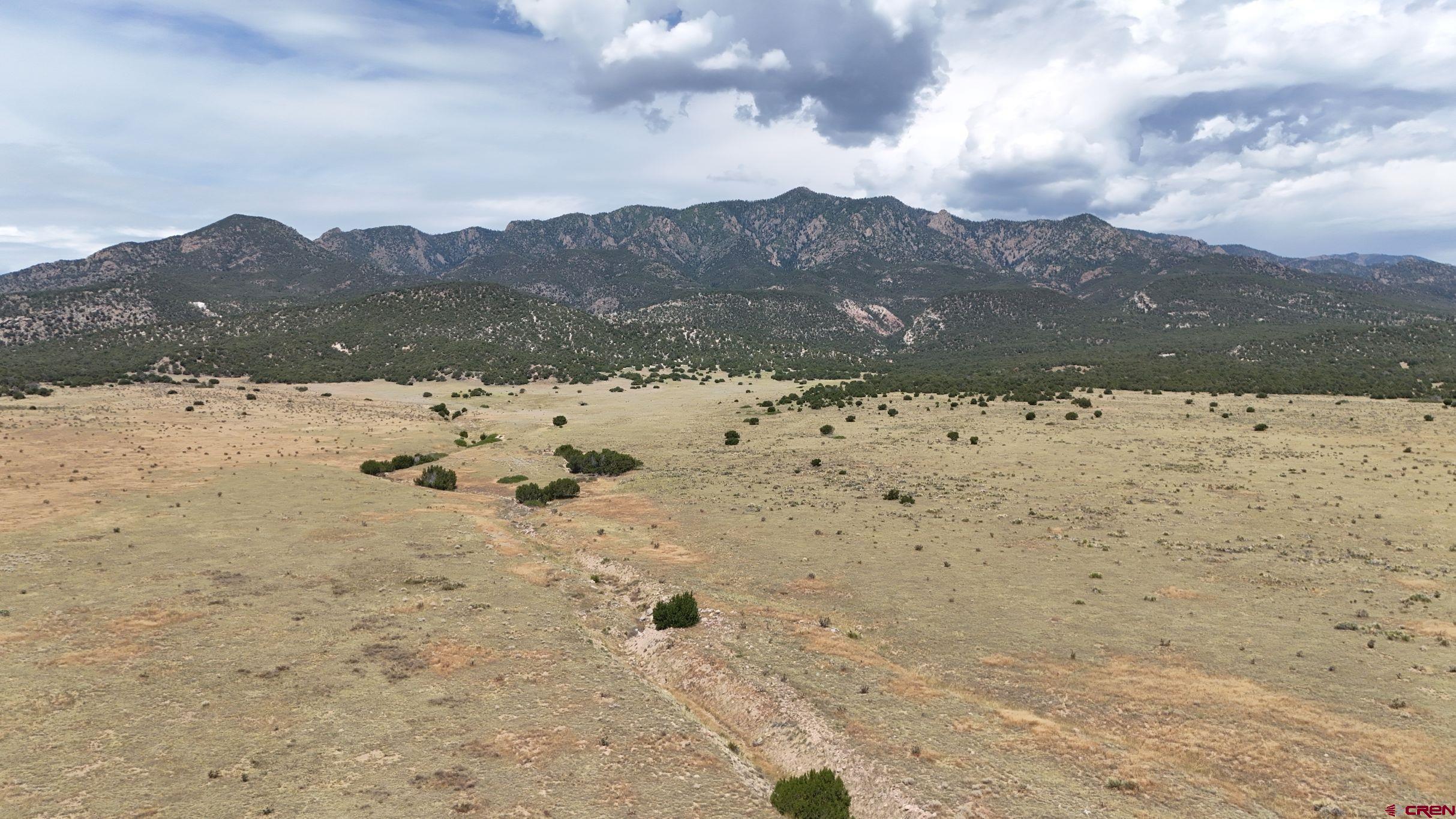 616 County Road 616 Rye, CO 81069 - Photo 14 of 29 a view of a dry yard with a large tree