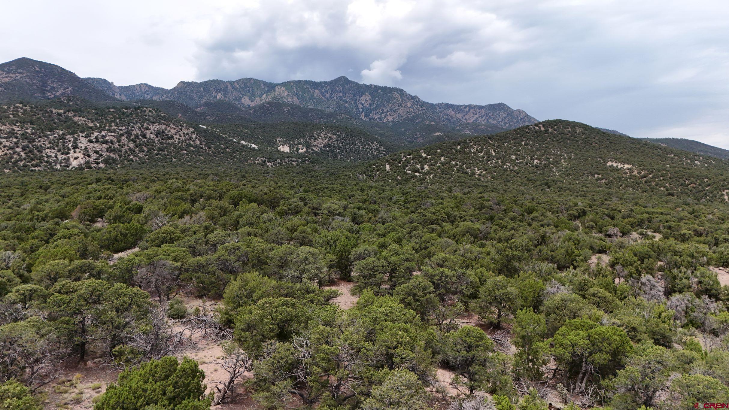 616 County Road 616 Rye, CO 81069 - Photo 20 of 29 a view of a mountain range with lush green forest