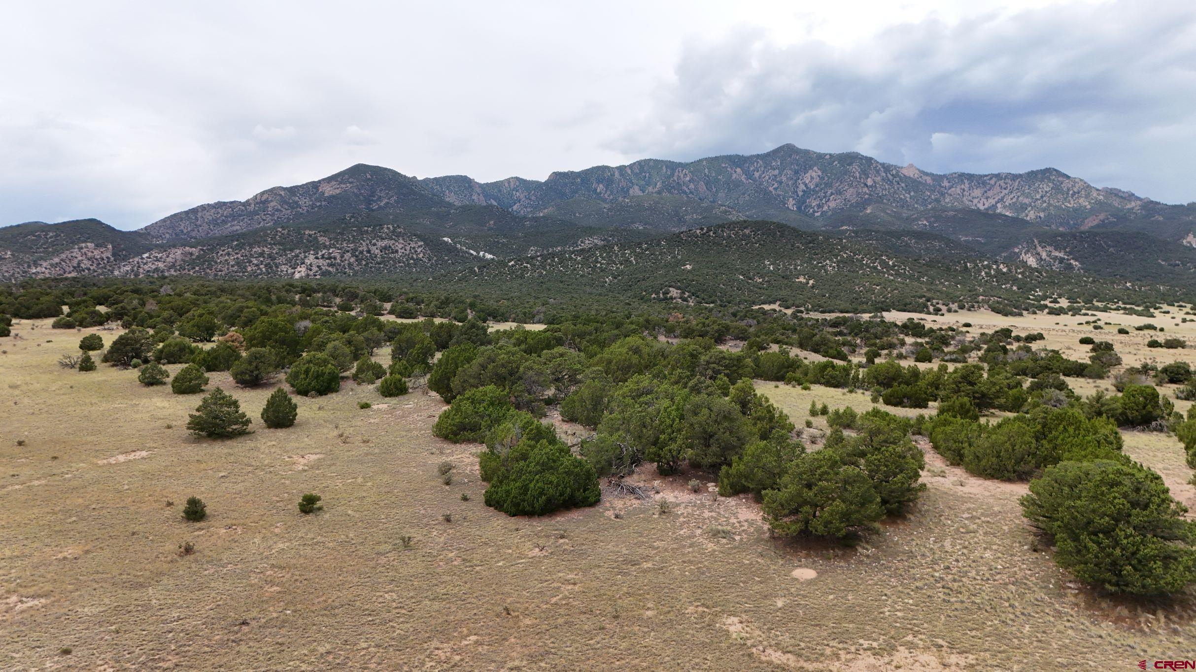 616 County Road 616 Rye, CO 81069 - Photo 24 of 29 a view of a covered with trees in the background