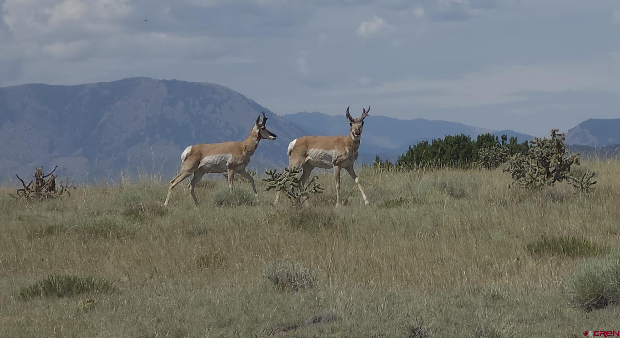 616 County Road 616 Rye, CO 81069 - Photo 29 of 29 a view of a terrace