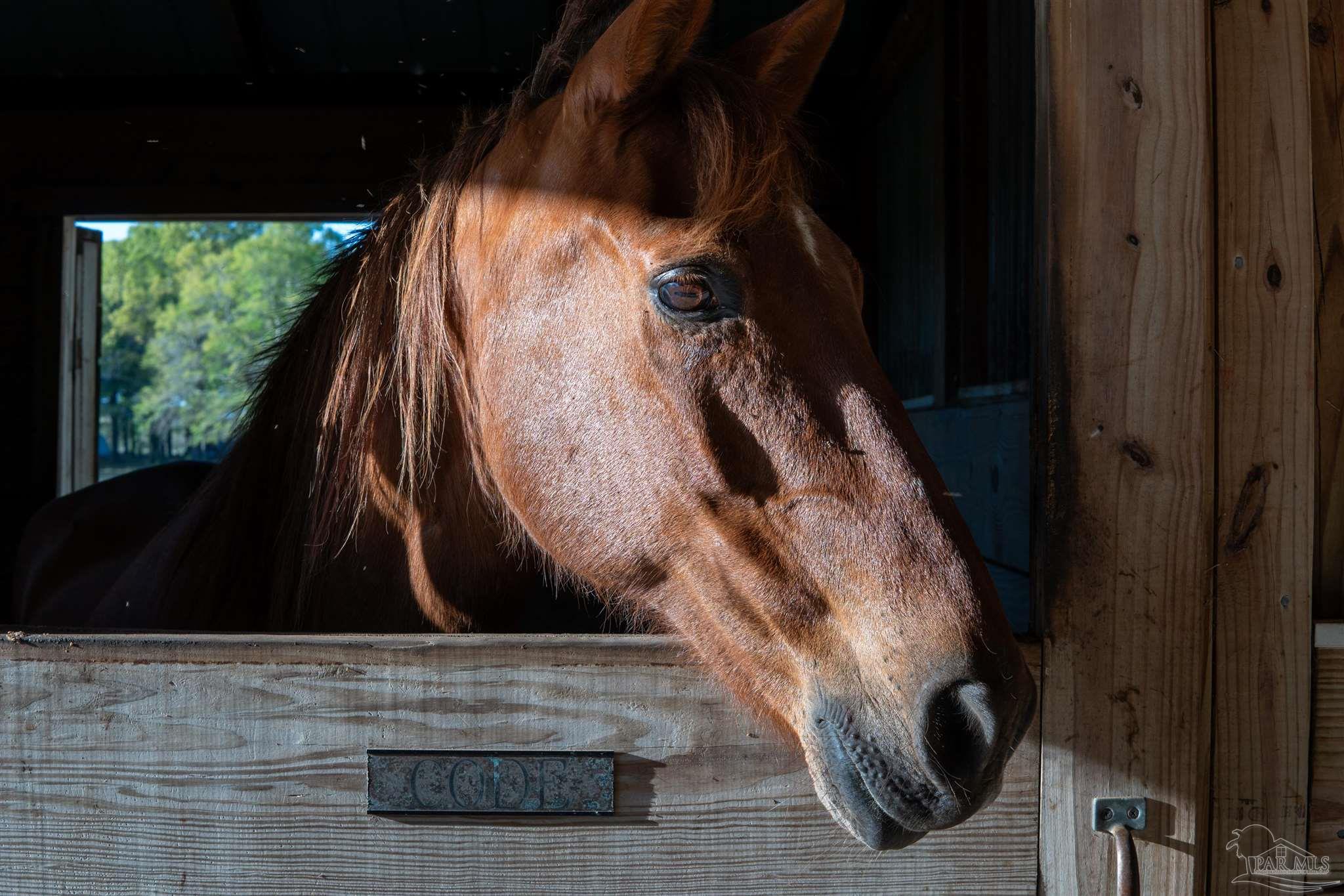 457 Jimmy Lewis Road Milton, FL 32570 - Photo 16 of 54