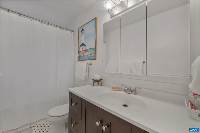 a bathroom with a sink and a toilet
