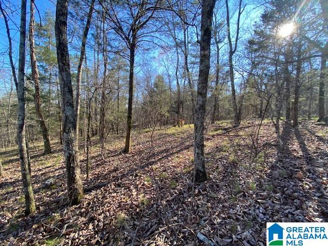 569 Ridge View Drive, Unit 5 AC Trussville, AL 35173 - Photo 12 of 21