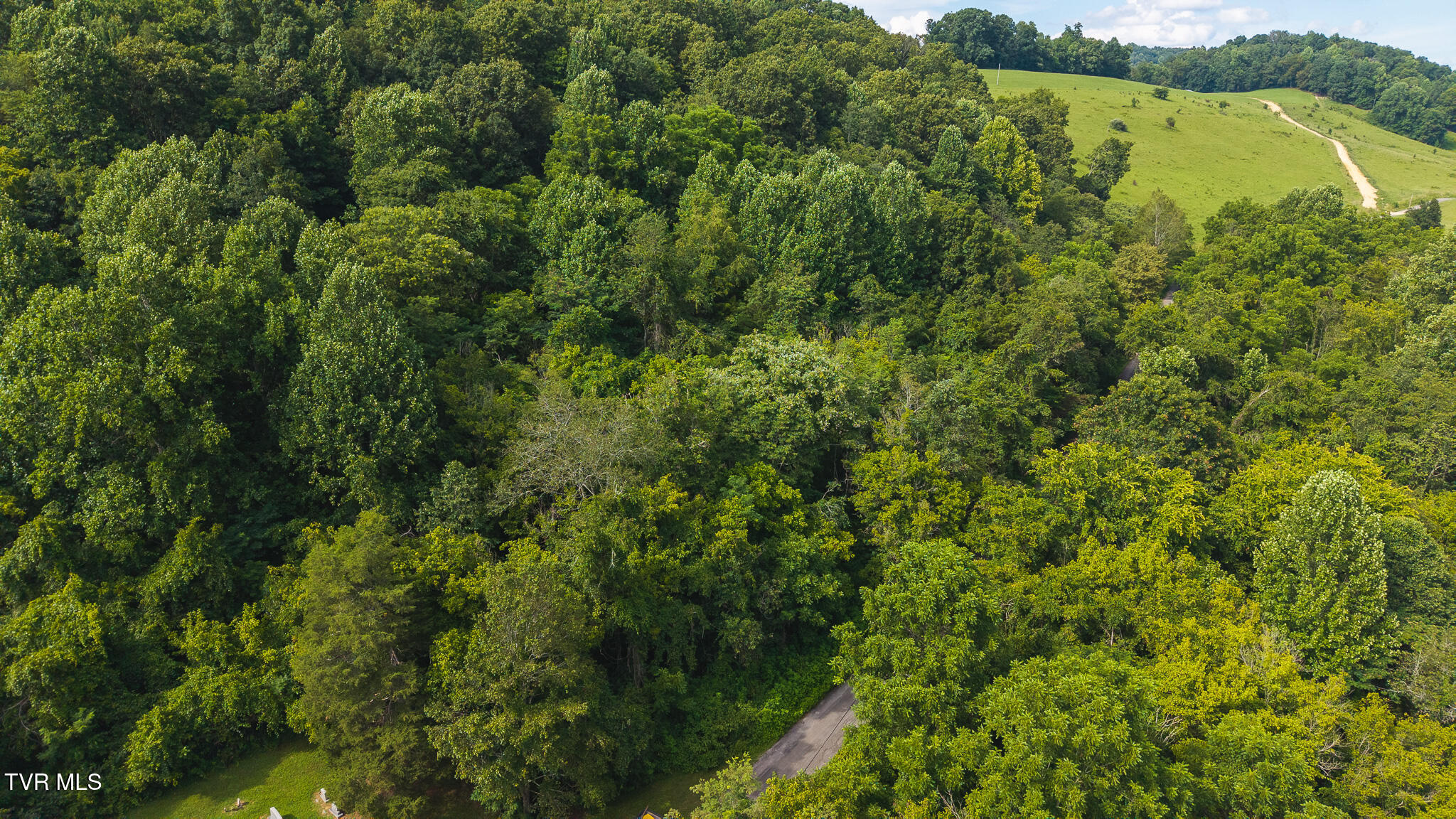 0 Gravely Valley Road Eidson, TN 37731 - Photo 13 of 36 DJI_20250716170839_0745_D