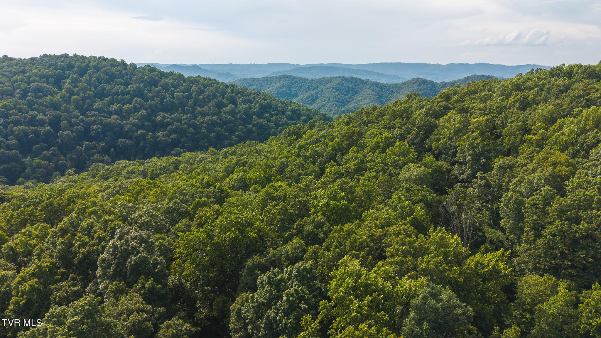 0 Gravely Valley Road Eidson, TN 37731 - Photo 3 of 36 DJI_20250716171103_0751_D