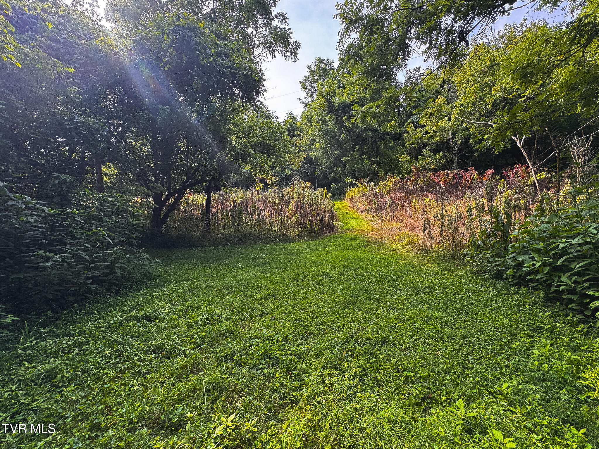 0 Gravely Valley Road Eidson, TN 37731 - Photo 34 of 36 IMG_9747