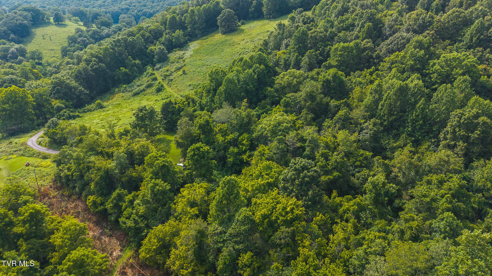 0 Gravely Valley Road Eidson, TN 37731 - Photo 8 of 36 DJI_20250716171510_0767_D