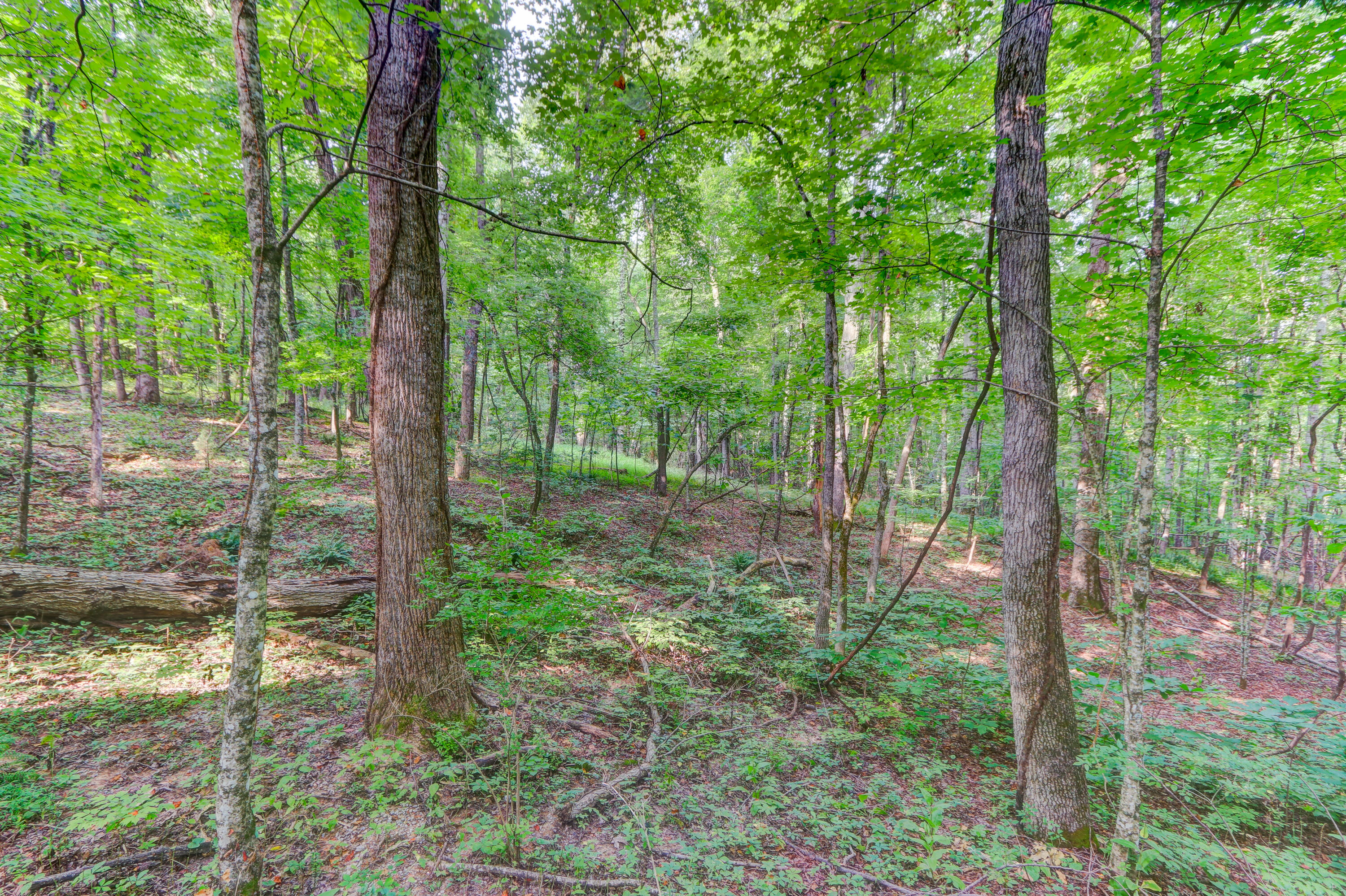 Indian Ridge Blaine, TN 37709 - Photo 7 of 10 Positive Perceptions-4