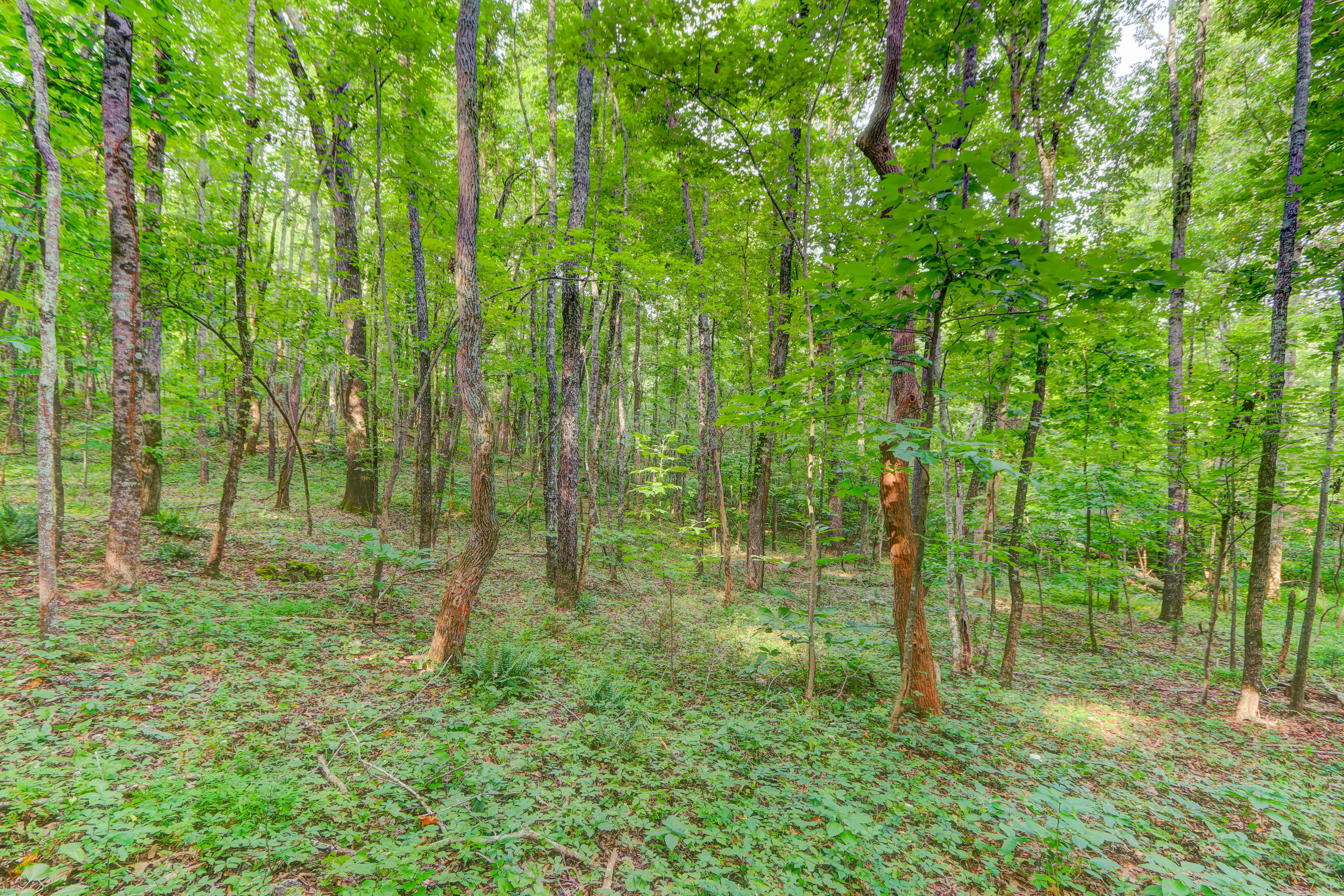 Indian Ridge Blaine, TN 37709 - Photo 10 of 10 Positive Perceptions-7