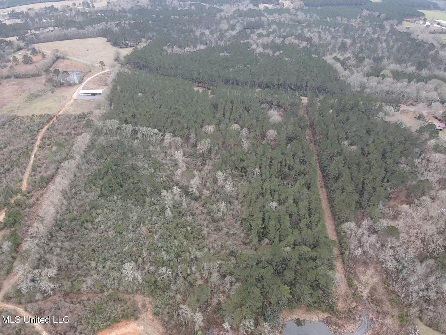 0 Magnolia Progress Road Magnolia, MS 39652 - Photo 26 of 30 2026-01-21-13-30-09-238