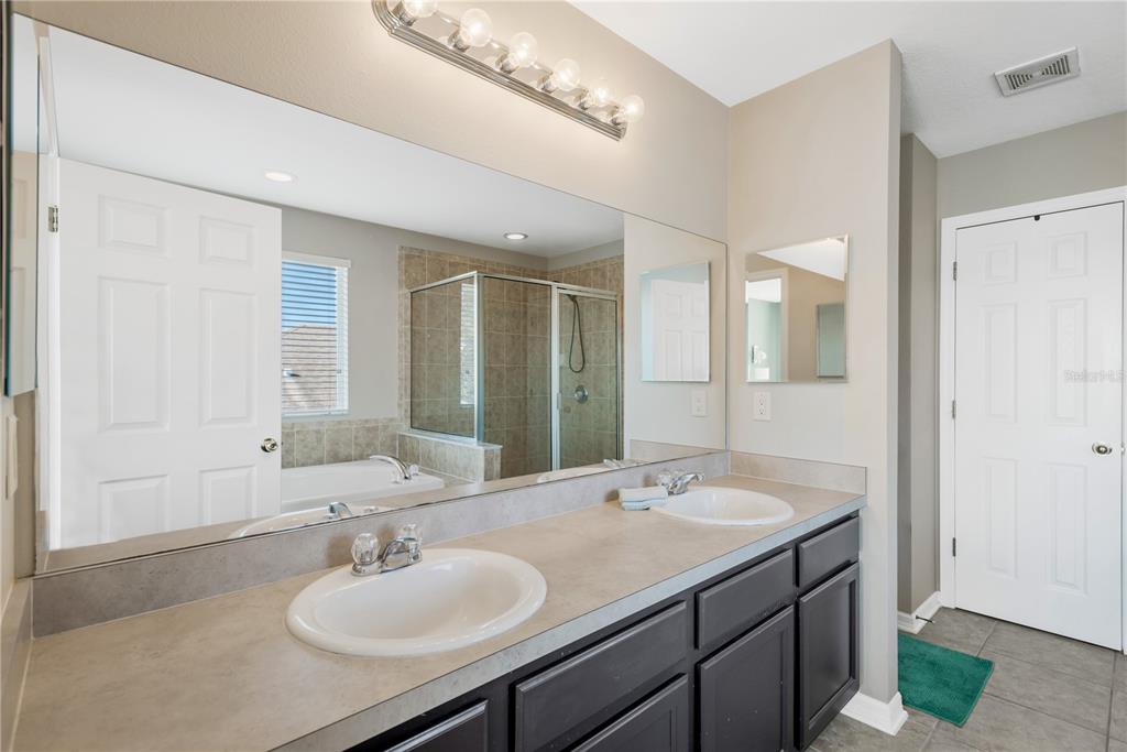 18345 Fish Loop Land O Lakes, FL 34638 - Photo 18 of 36 a bathroom with a sink and a mirror