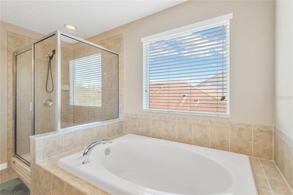 18345 Fish Loop Land O Lakes, FL 34638 - Photo 19 of 36 a white bath tub sitting next to a window