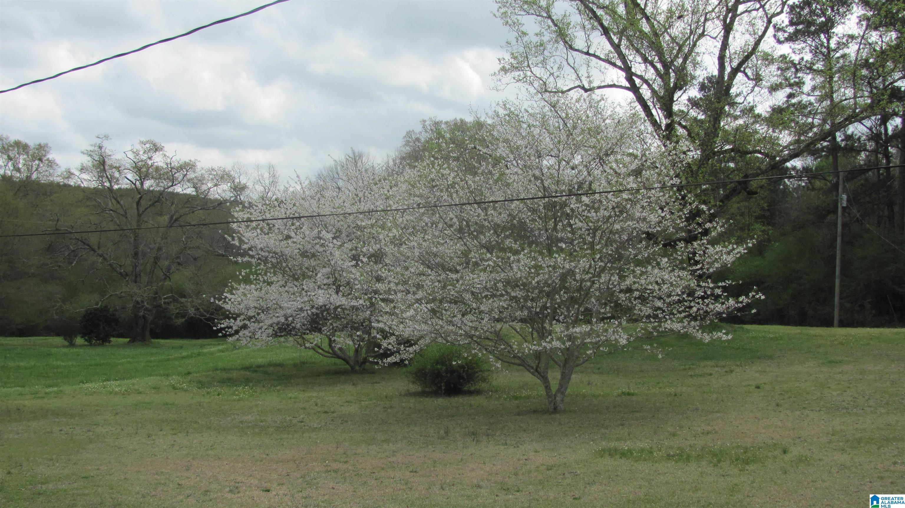 1864 Kelly Loop Road Mount Olive, AL 35117 - Photo 56 of 68