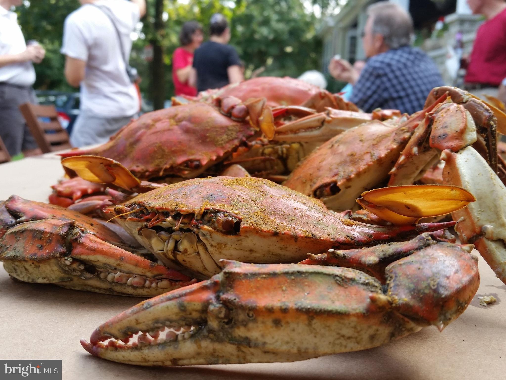 111 Willis Street Cambridge, MD 21613 - Photo 45 of 48