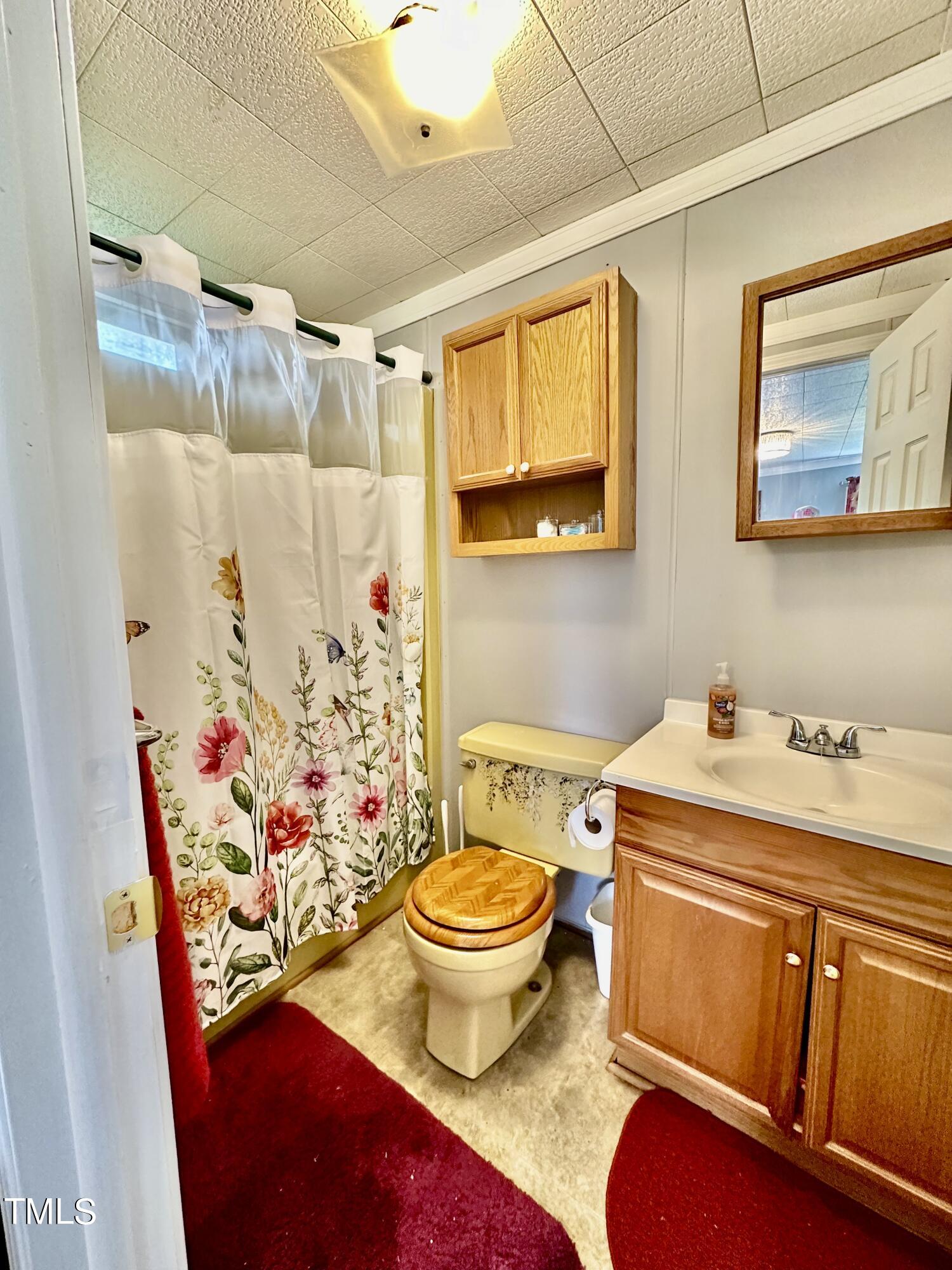 3491 Abattoir Road Angier, NC 27501 - Photo 18 of 26 primary bath