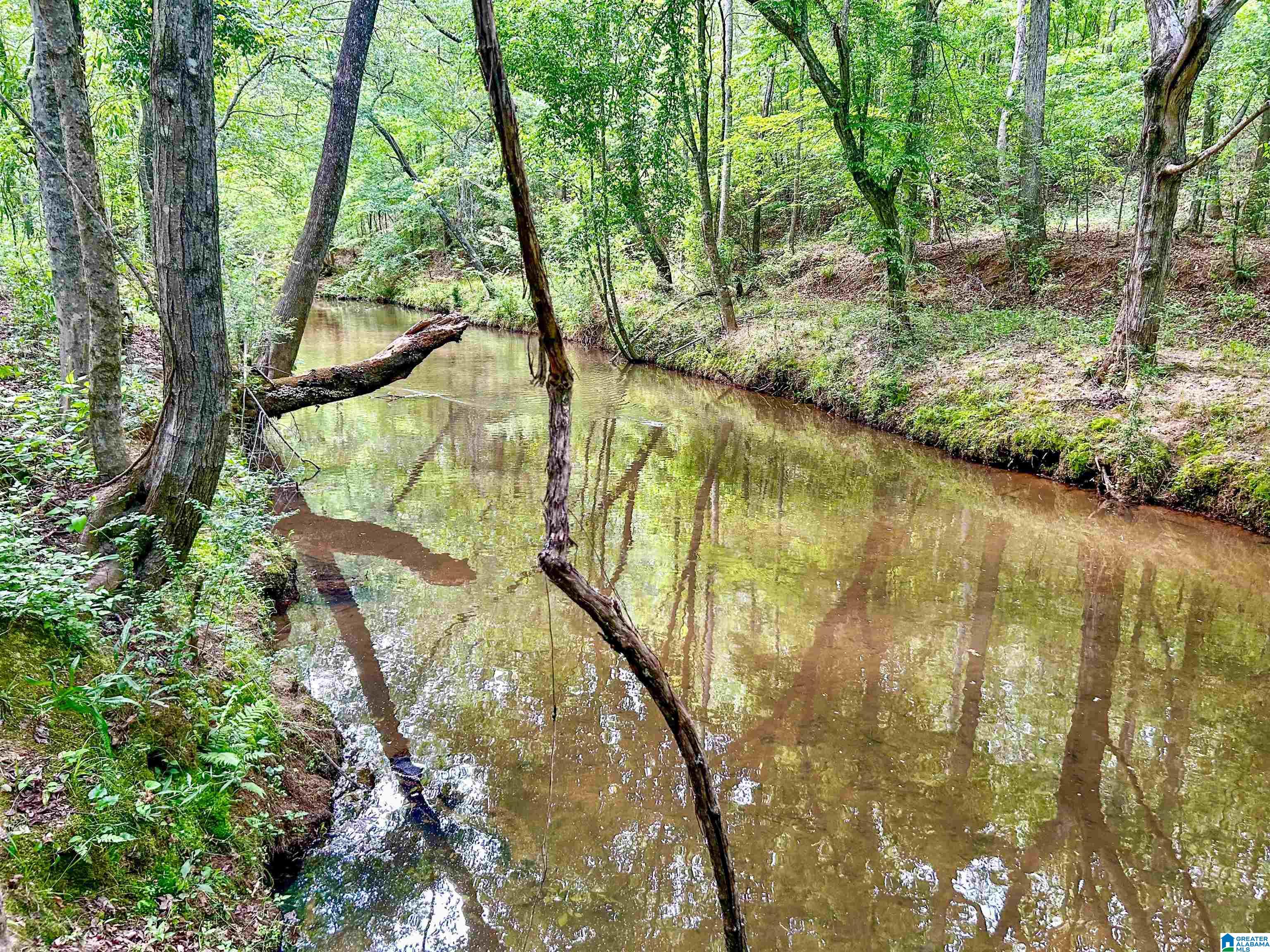 1 Old Mill Road Goodwater, AL 35072 - Photo 3 of 22