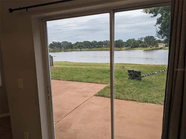 a view of a garden from a window