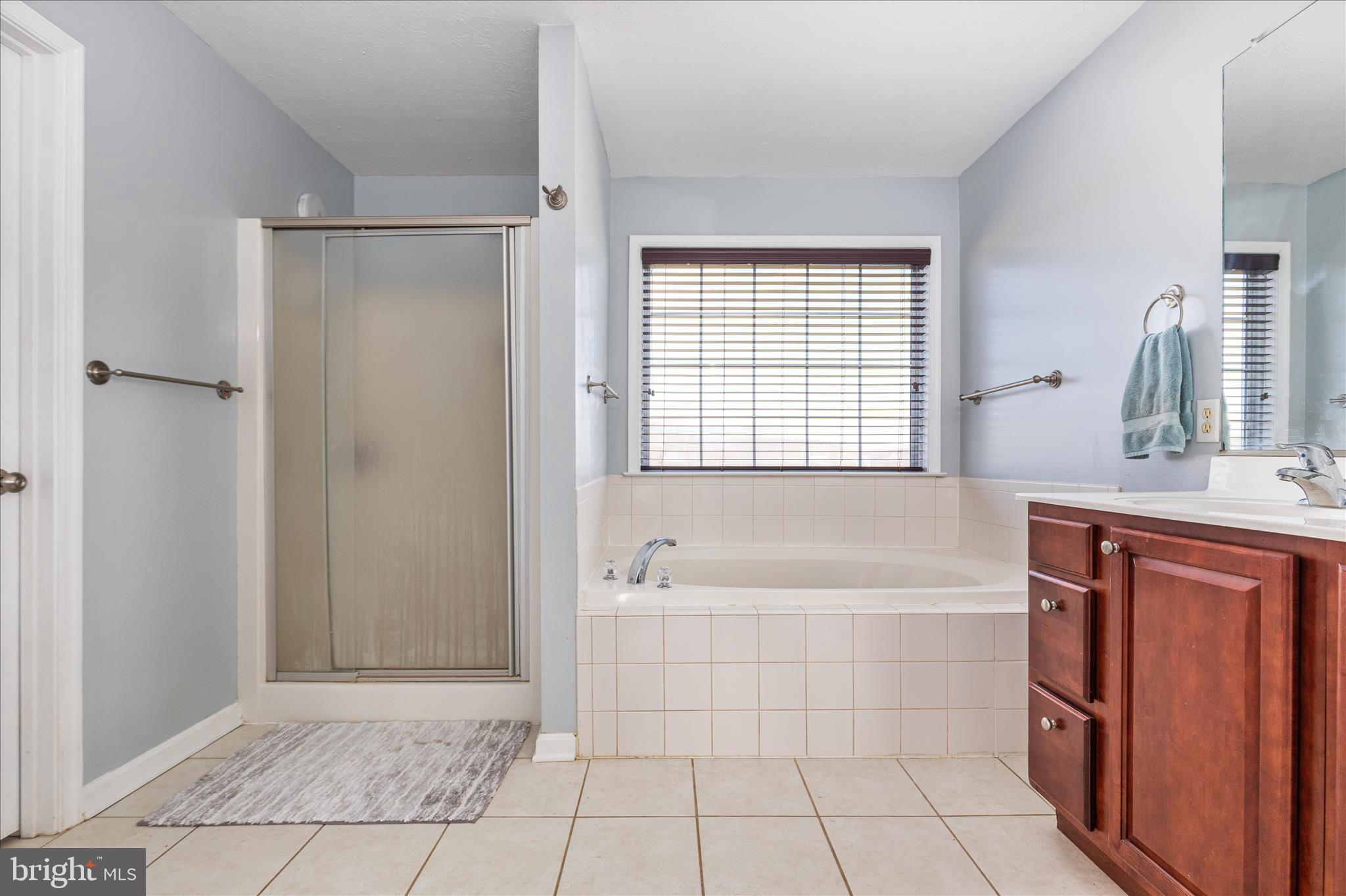 1781 Brucetown Road Clear Brook, VA 22624 - Photo 25 of 76 Primary Bath