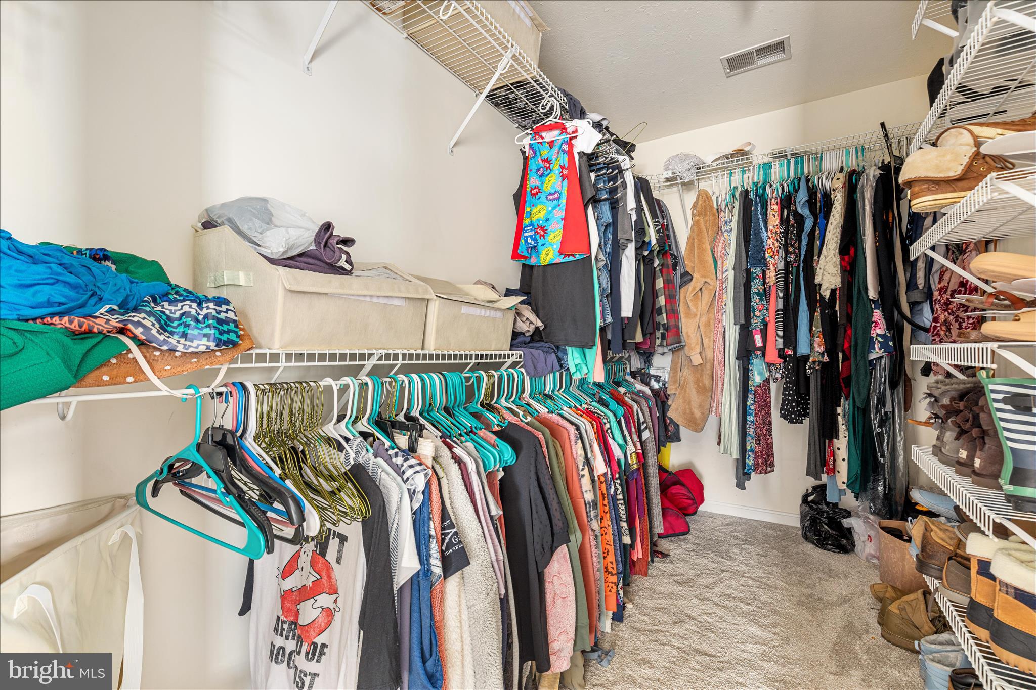 1781 Brucetown Road Clear Brook, VA 22624 - Photo 26 of 76 Primary Walk in Closet