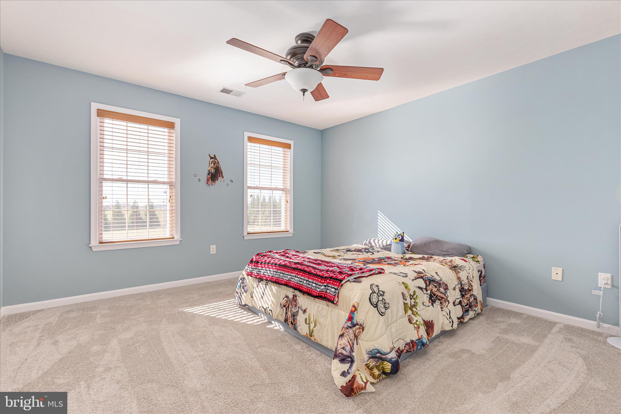 1781 Brucetown Road Clear Brook, VA 22624 - Photo 30 of 76