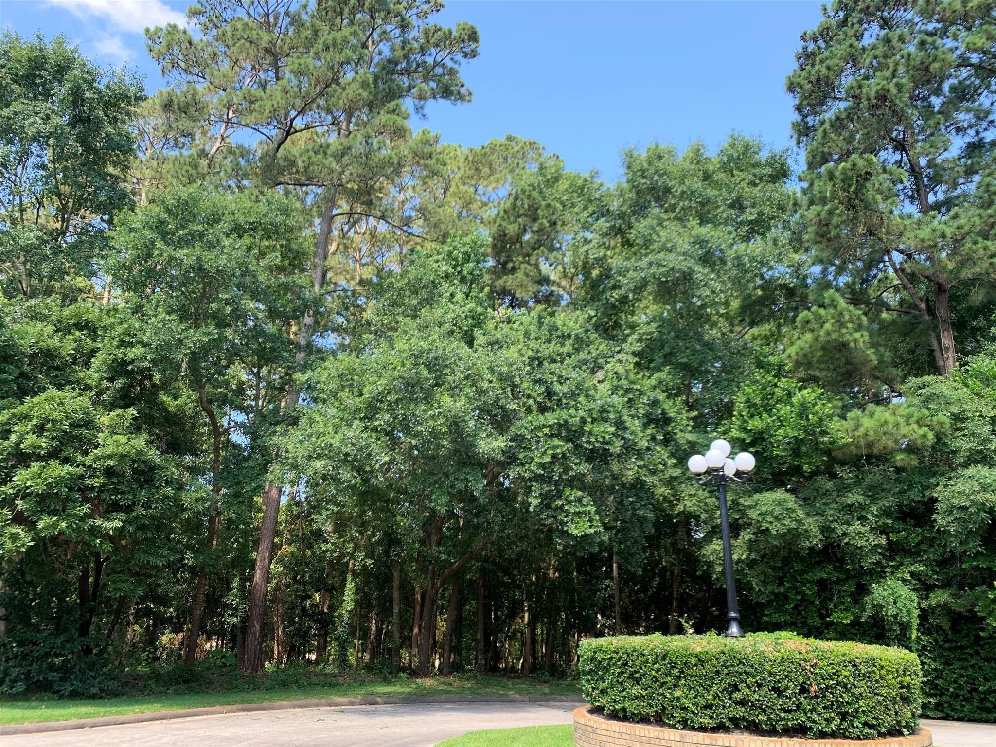 901 Longmire Road Conroe, TX 77304 - Photo 4 of 4 a view of a yard