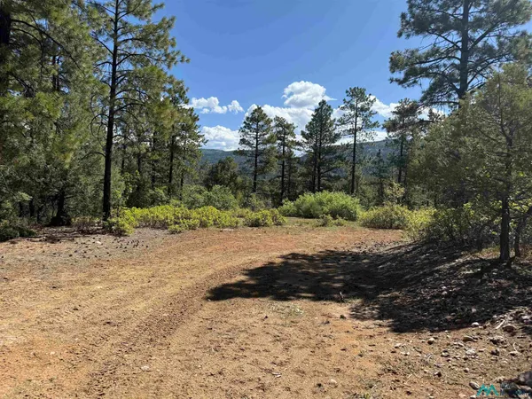 $139,000 | Buckman Road, Chama, NM 87520