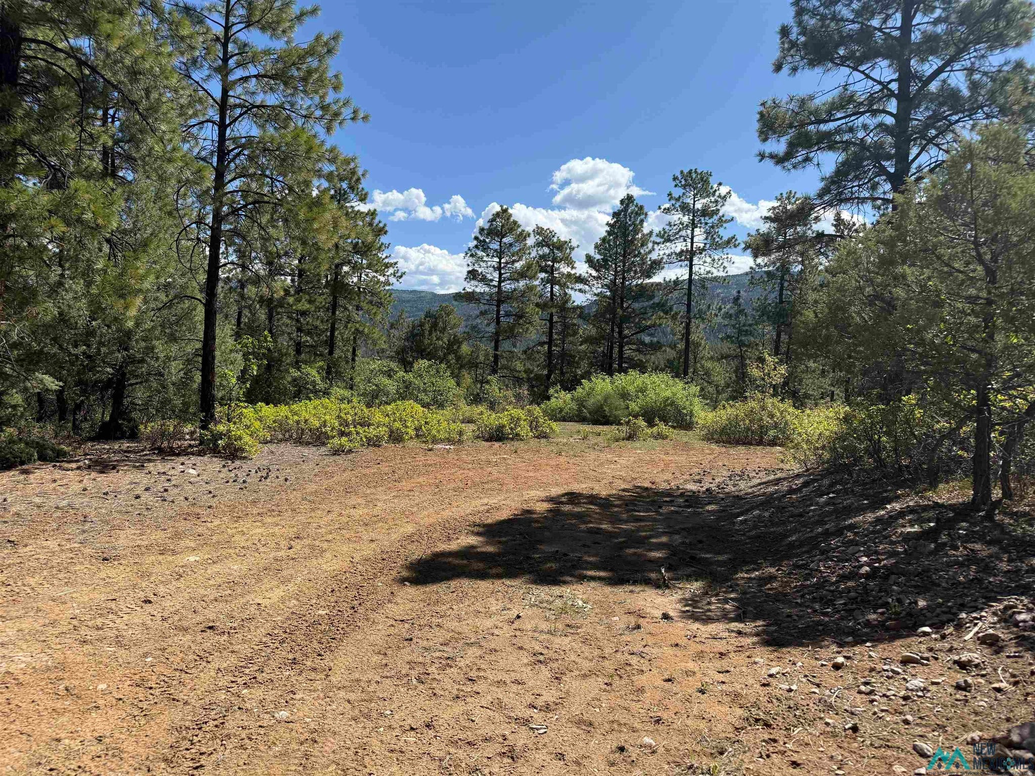 Buckman Road Chama, NM 87520 - Photo 1 of 11 Gallery Image 1