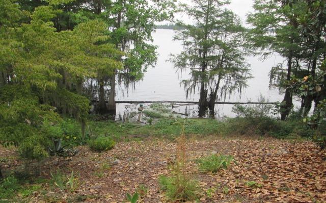 503 Stumphole Road Elloree, SC 29047 - Photo 16 of 20 057