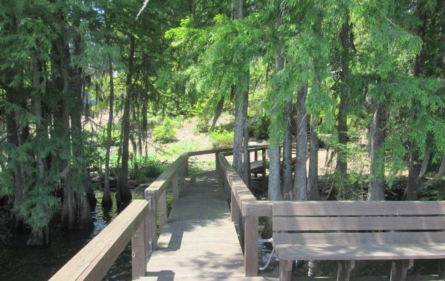 503 Stumphole Road Elloree, SC 29047 - Photo 18 of 20 004