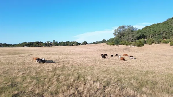 a view of lake view with mountain and trees in the back