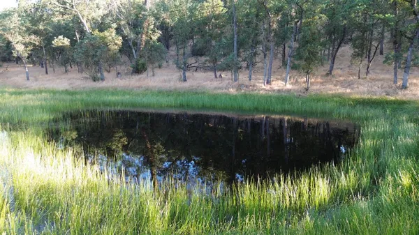 a view of an ocean beach
