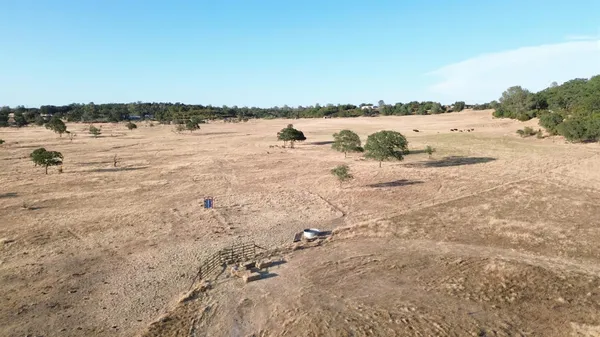 a view of a forest with a yard