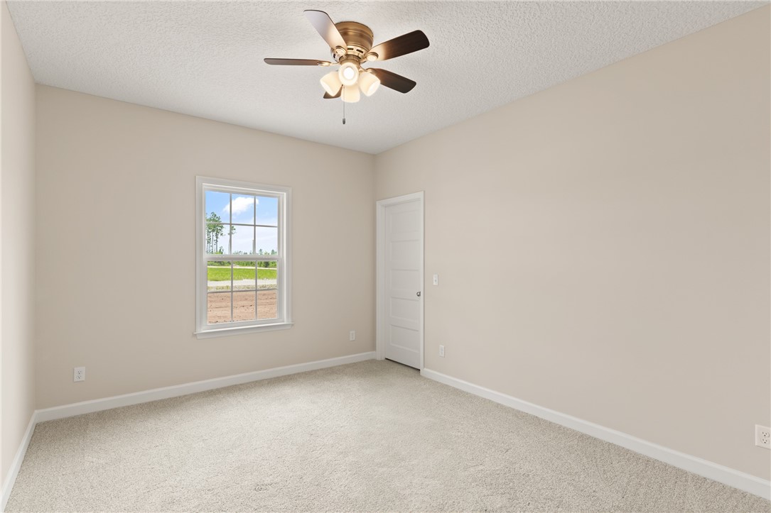 4452 Pembers Road Nahunta, GA 31553 - Photo 27 of 29