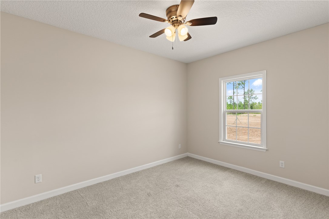 4452 Pembers Road Nahunta, GA 31553 - Photo 28 of 29