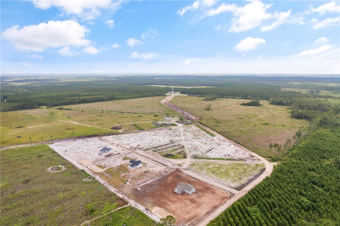 4452 Pembers Road Nahunta, GA 31553 - Photo 8 of 29