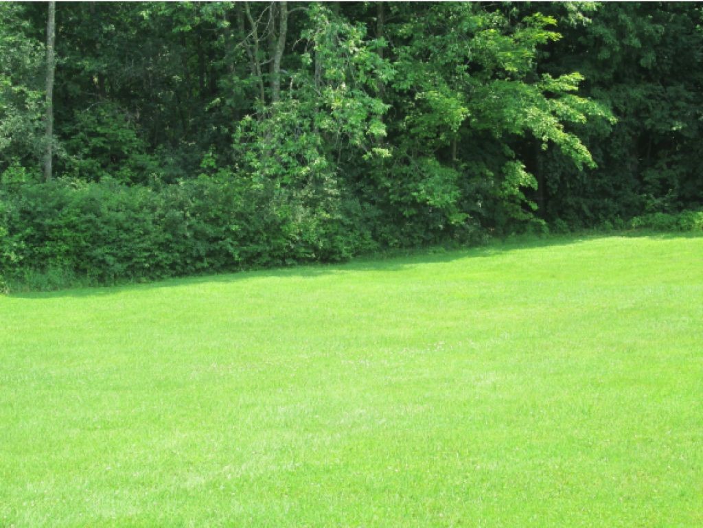 7445 Highway 2A St. George, VT 05495 - Photo 16 of 23