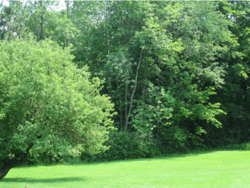 7445 Highway 2A St. George, VT 05495 - Photo 21 of 23
