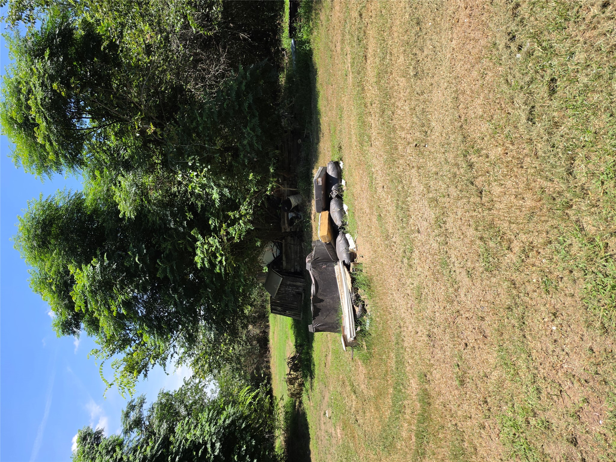 711 2nd Street East Elgin, TX 78621 - Photo 6 of 7 A spacious yard with verdant trees offers a serene natural setting.
