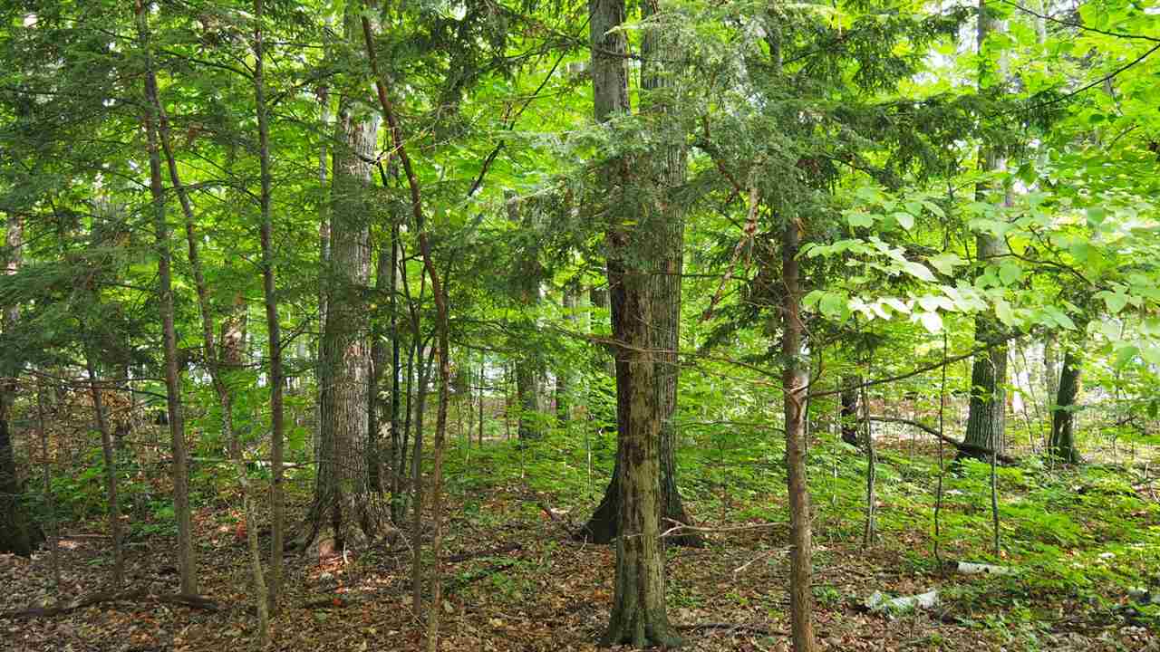 8168 Deadstream Road Honor, MI 49640 - Photo 19 of 32 1880230-18.JPG