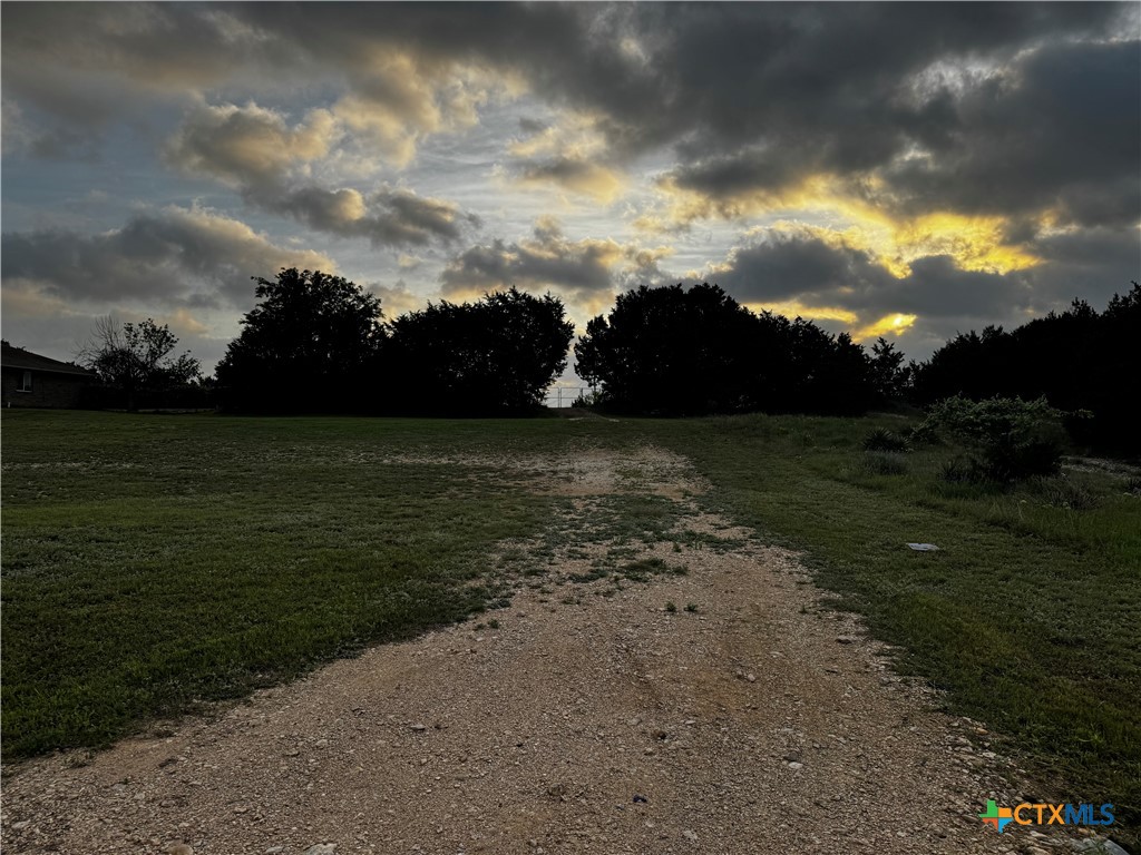 397 County Road 3367 Kempner, TX 76539 - Photo 43 of 47 a view of a lake with a big yard