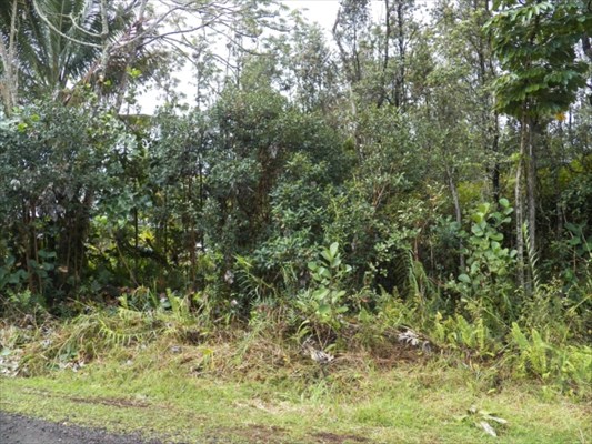 167 Kiawe Road Keaau, HI 96749 - Photo 1 of 6 Gallery Image 1